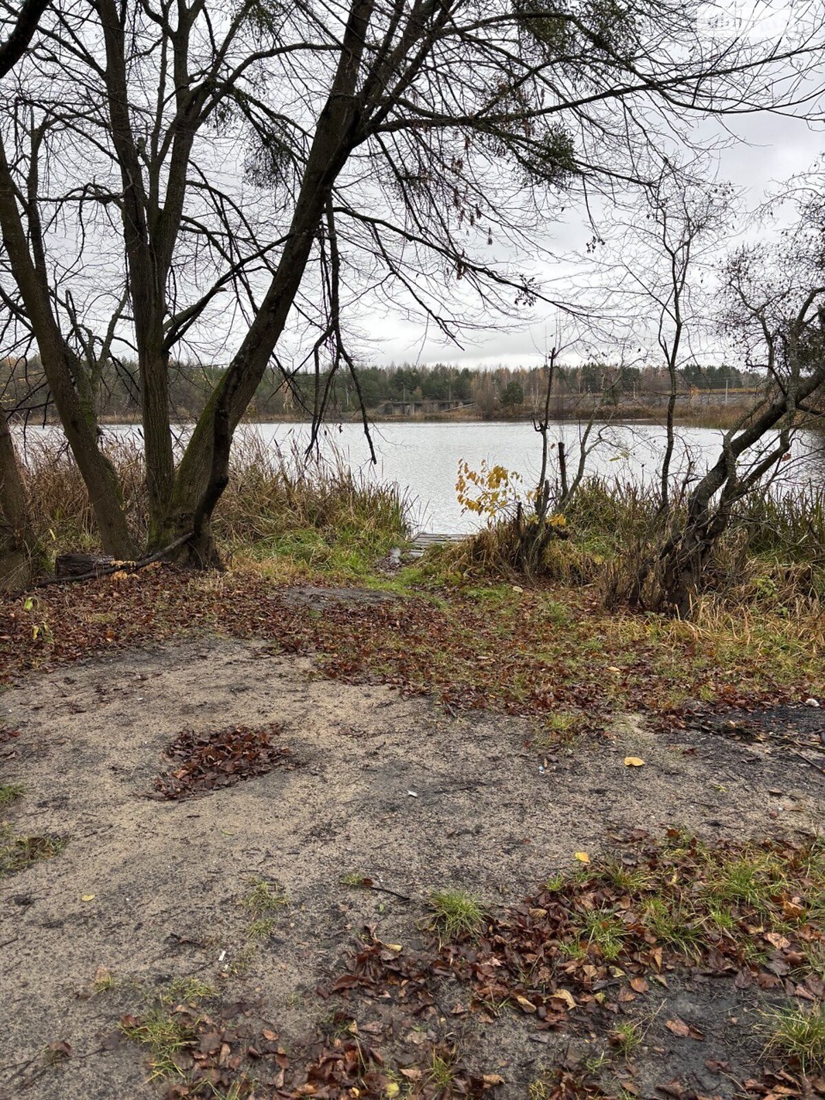 Земельна ділянка під житлову забудову в Тетерівці, площа 12 соток фото 1