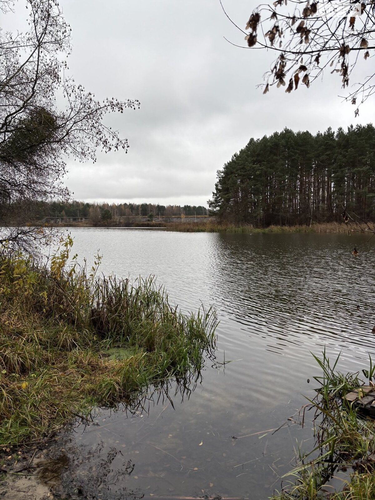 Земельна ділянка під житлову забудову в Тетерівці, площа 12 соток фото 1