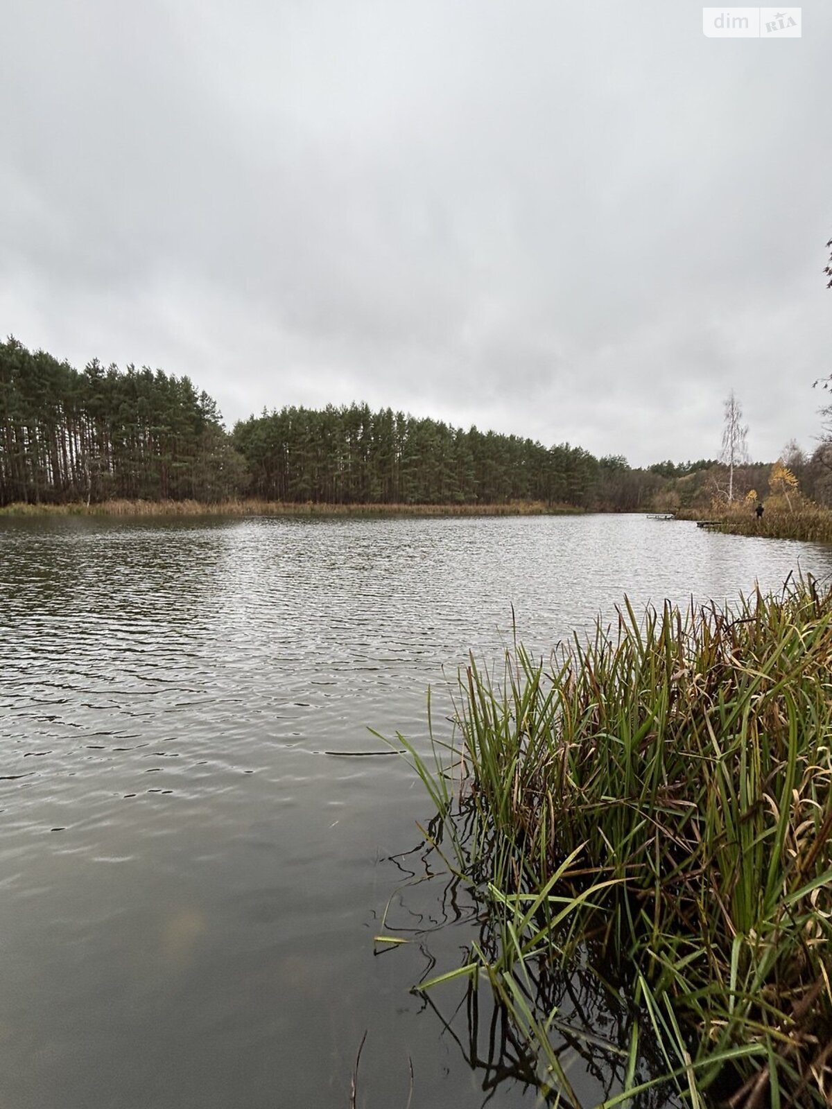 Земельна ділянка під житлову забудову в Тетерівці, площа 12 соток фото 1