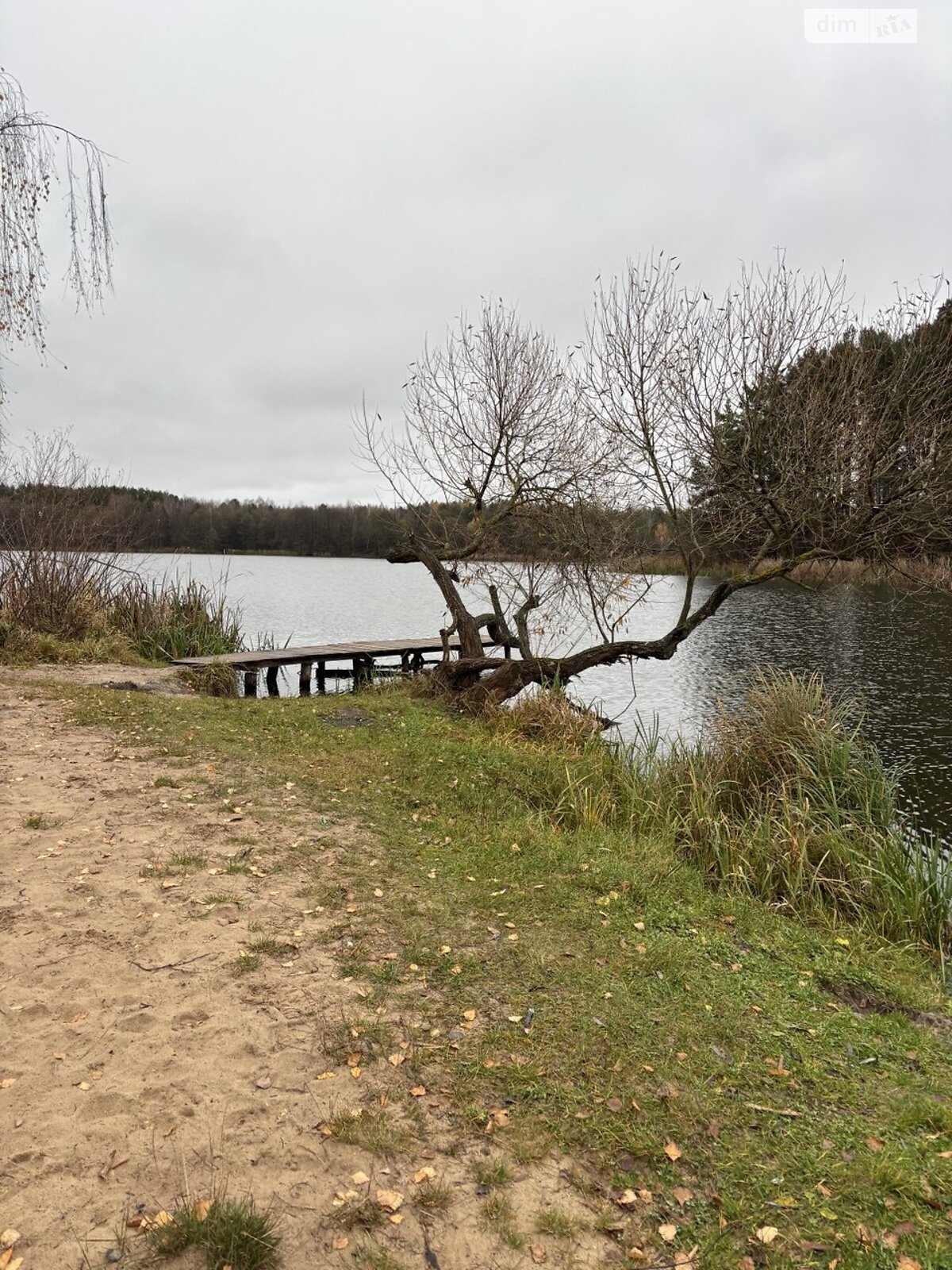 Земельна ділянка під житлову забудову в Тетерівці, площа 12 соток фото 1