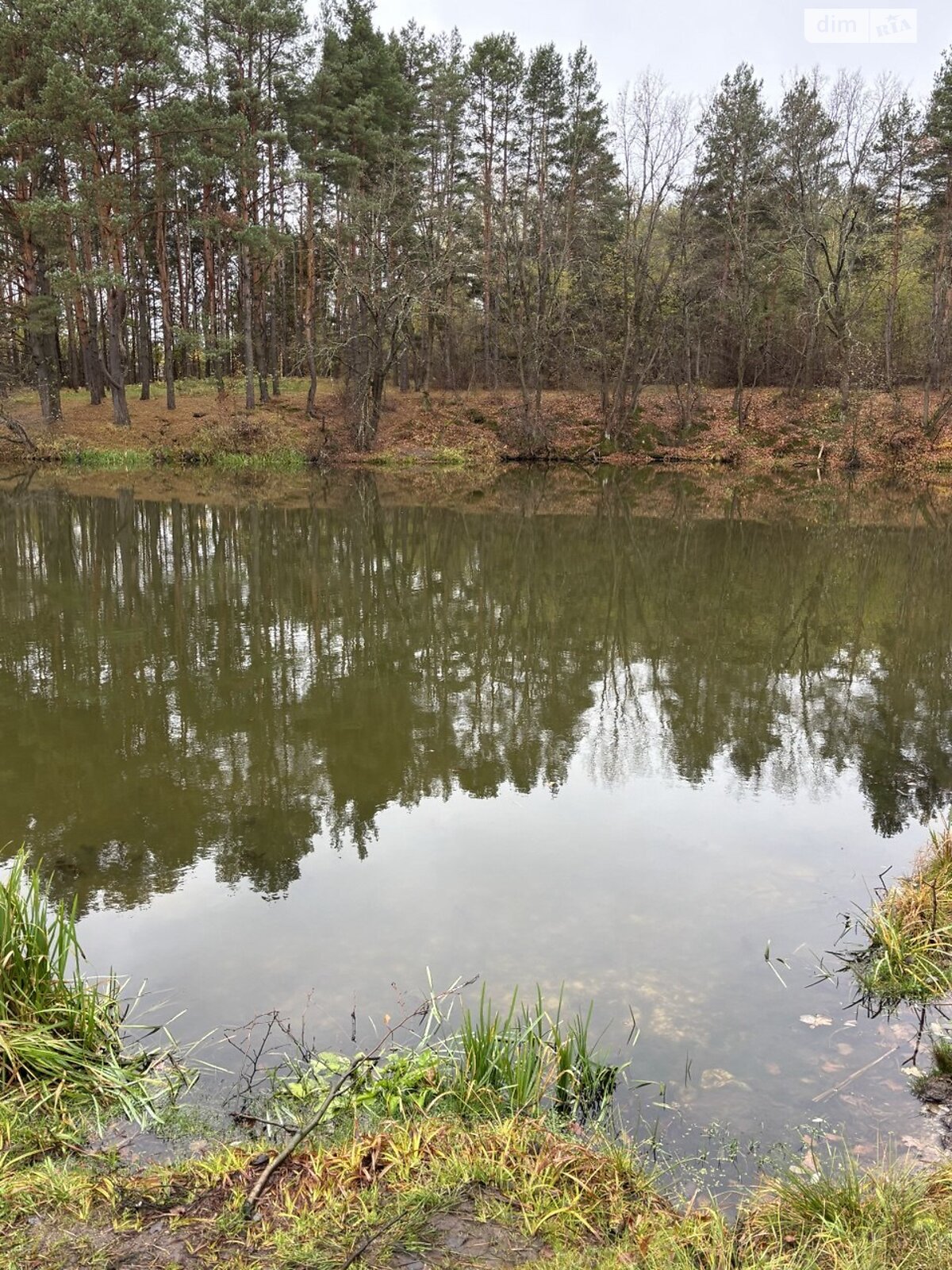 Земельна ділянка під житлову забудову в Тетерівці, площа 12 соток фото 1