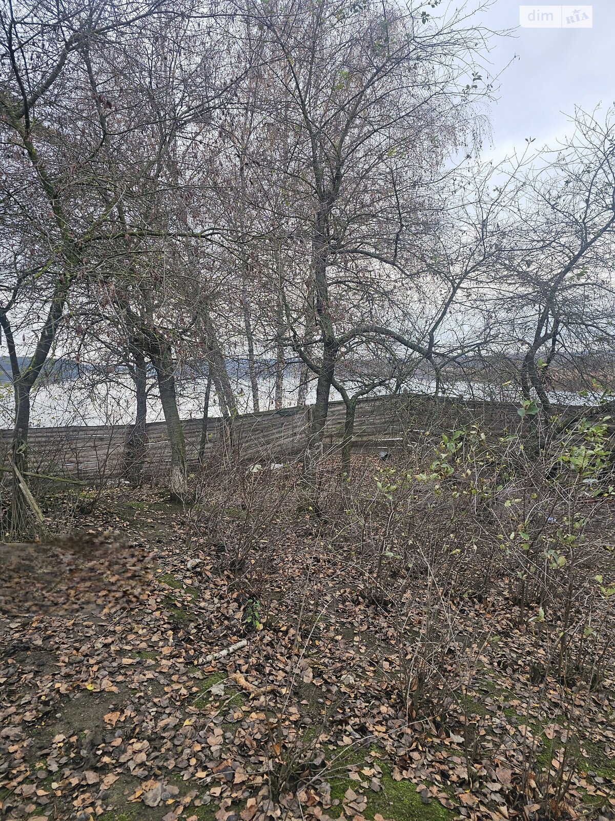 Земельный участок под жилую застройку в Тетеревке, площадь 6 соток фото 1 Земельный участок под жилую застройку в Тетеревке, площадь 6 соток фото 1