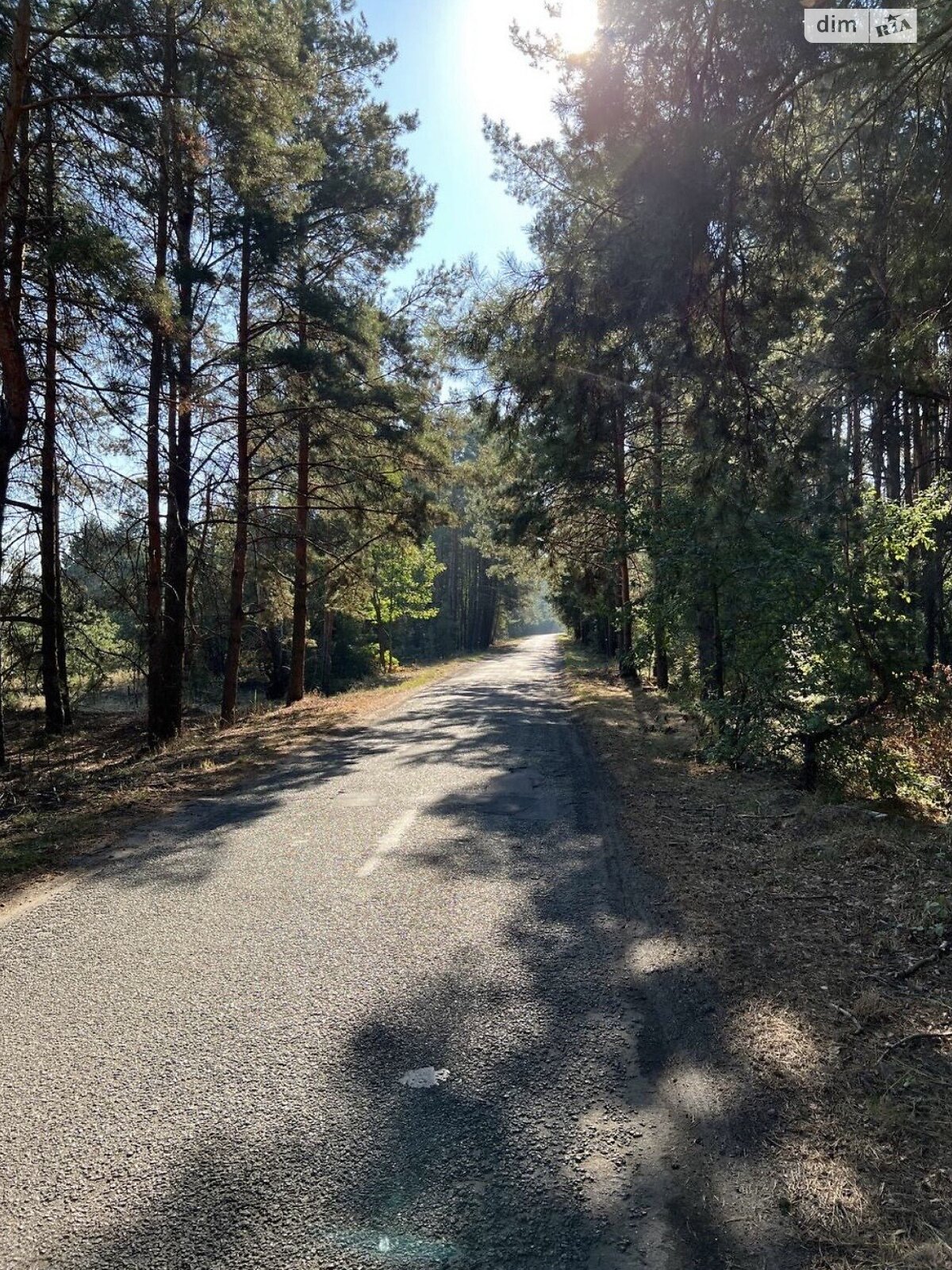 Земельна ділянка під житлову забудову в Толокуні, площа 10 соток фото 1