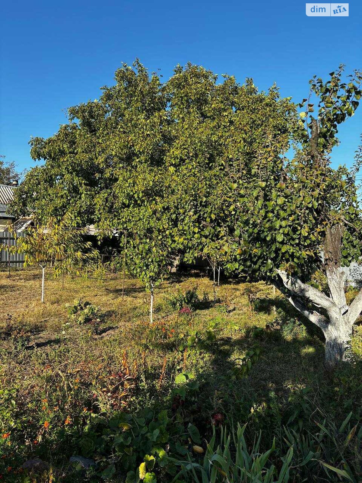 Земельный участок под жилую застройку в Триполье, площадь 6.5 сотки фото 1