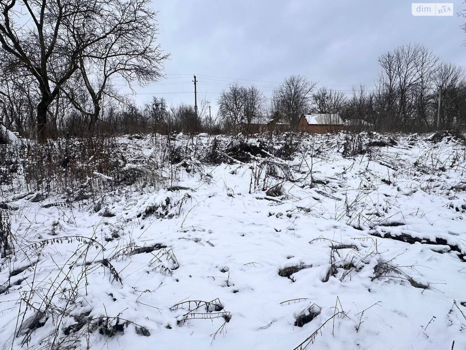 Земельна ділянка під житлову забудову в Тростянці, площа 1.1 Га фото 1