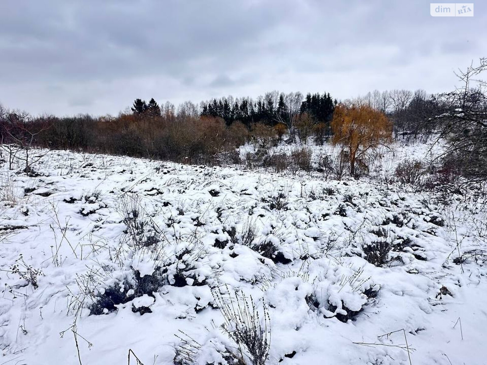 Земельна ділянка під житлову забудову в Тростянці, площа 1.1 Га фото 1