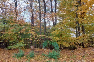 Земля под жилую застройку в Трускавце, район Трускавец, площадь 12 соток фото 2 Земля под жилую застройку в Трускавце, район Трускавец, площадь 12 соток фото 2