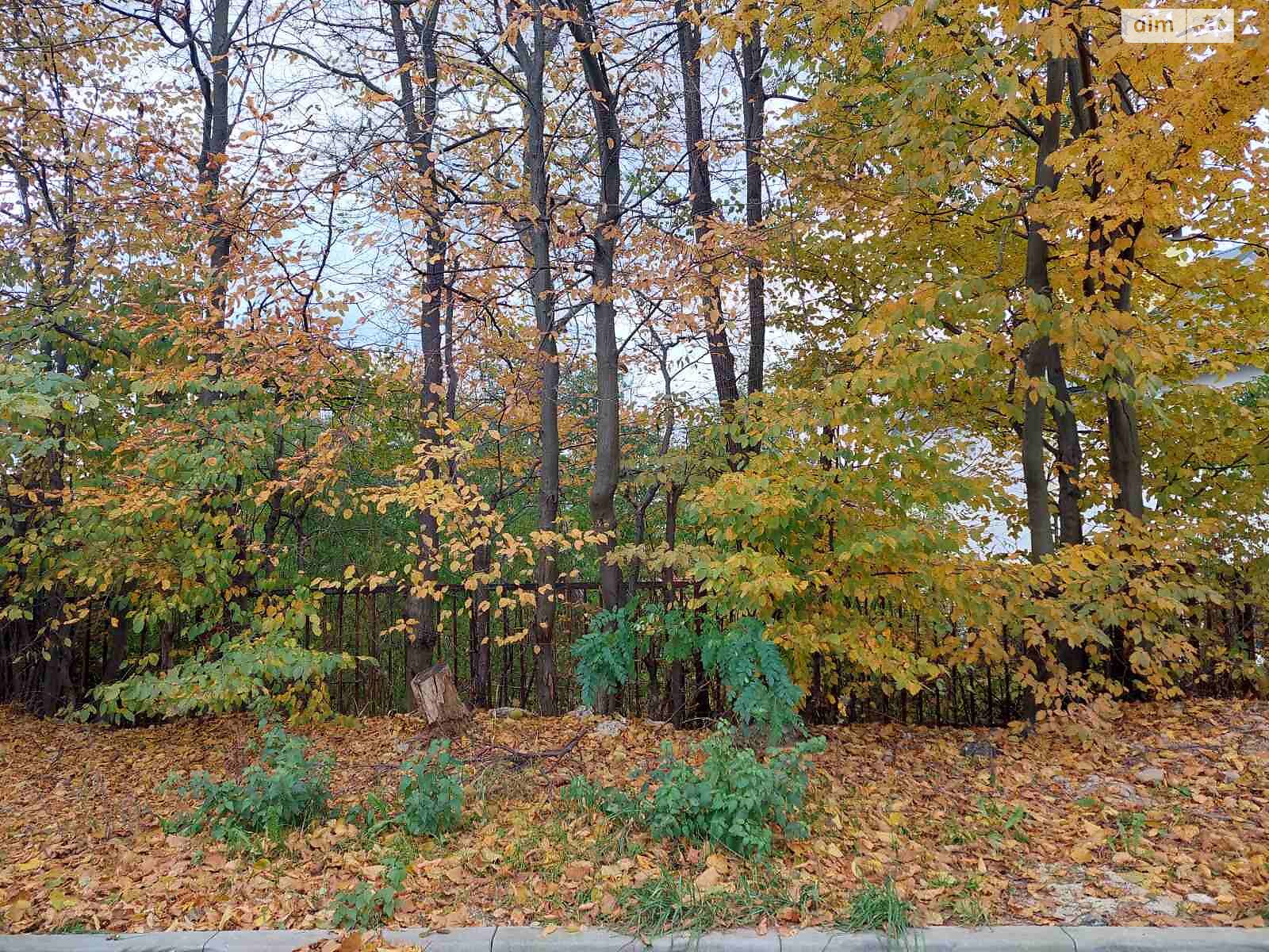 Земля под жилую застройку в Трускавце, район Трускавец, площадь 12 соток фото 1 Земля под жилую застройку в Трускавце, район Трускавец, площадь 12 соток фото 1