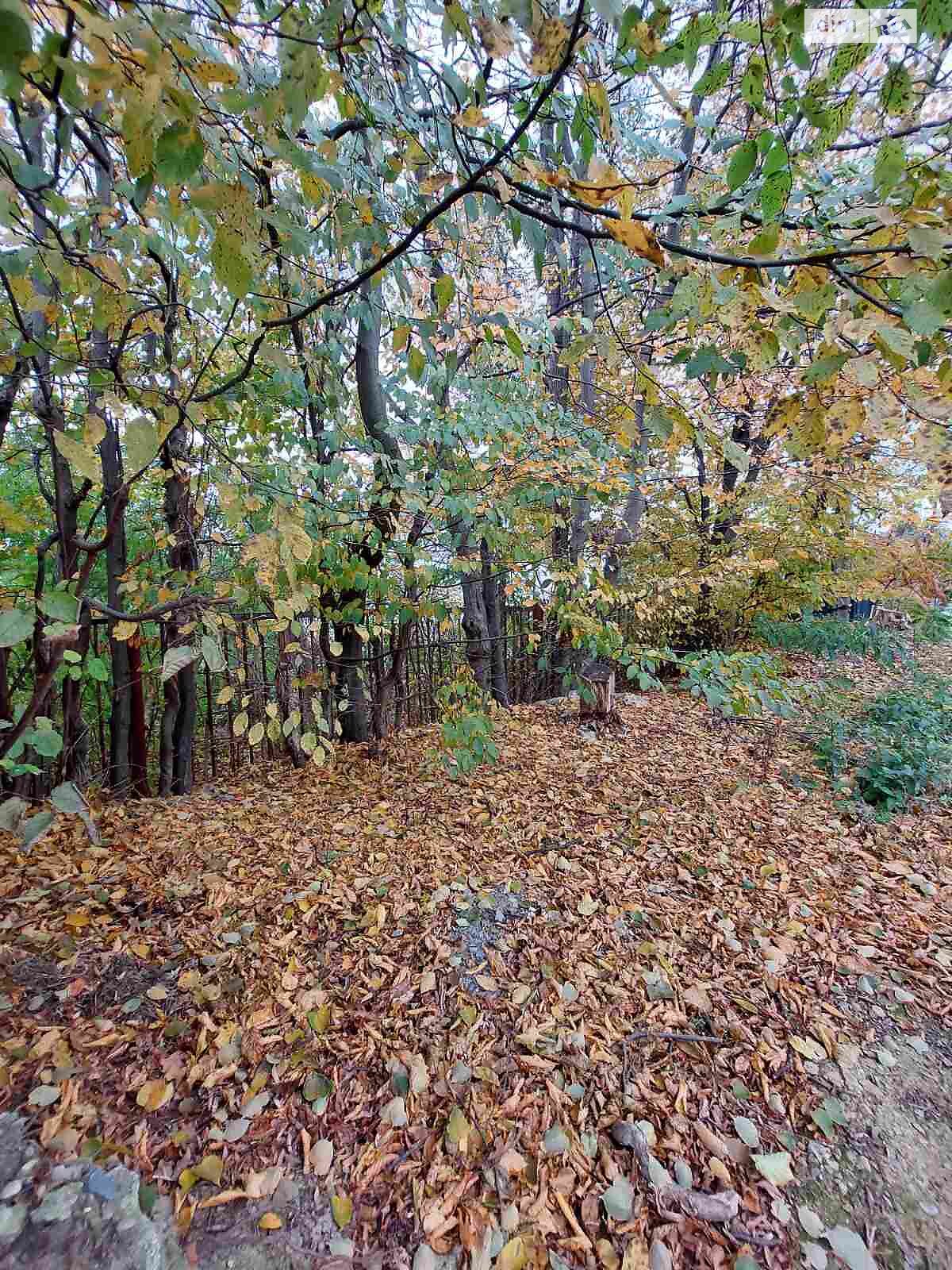 Земля под жилую застройку в Трускавце, район Трускавец, площадь 12 соток фото 1 Земля под жилую застройку в Трускавце, район Трускавец, площадь 12 соток фото 1