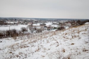 Земля под жилую застройку в Царичанке, район Царичанка, площадь 25 соток фото 2