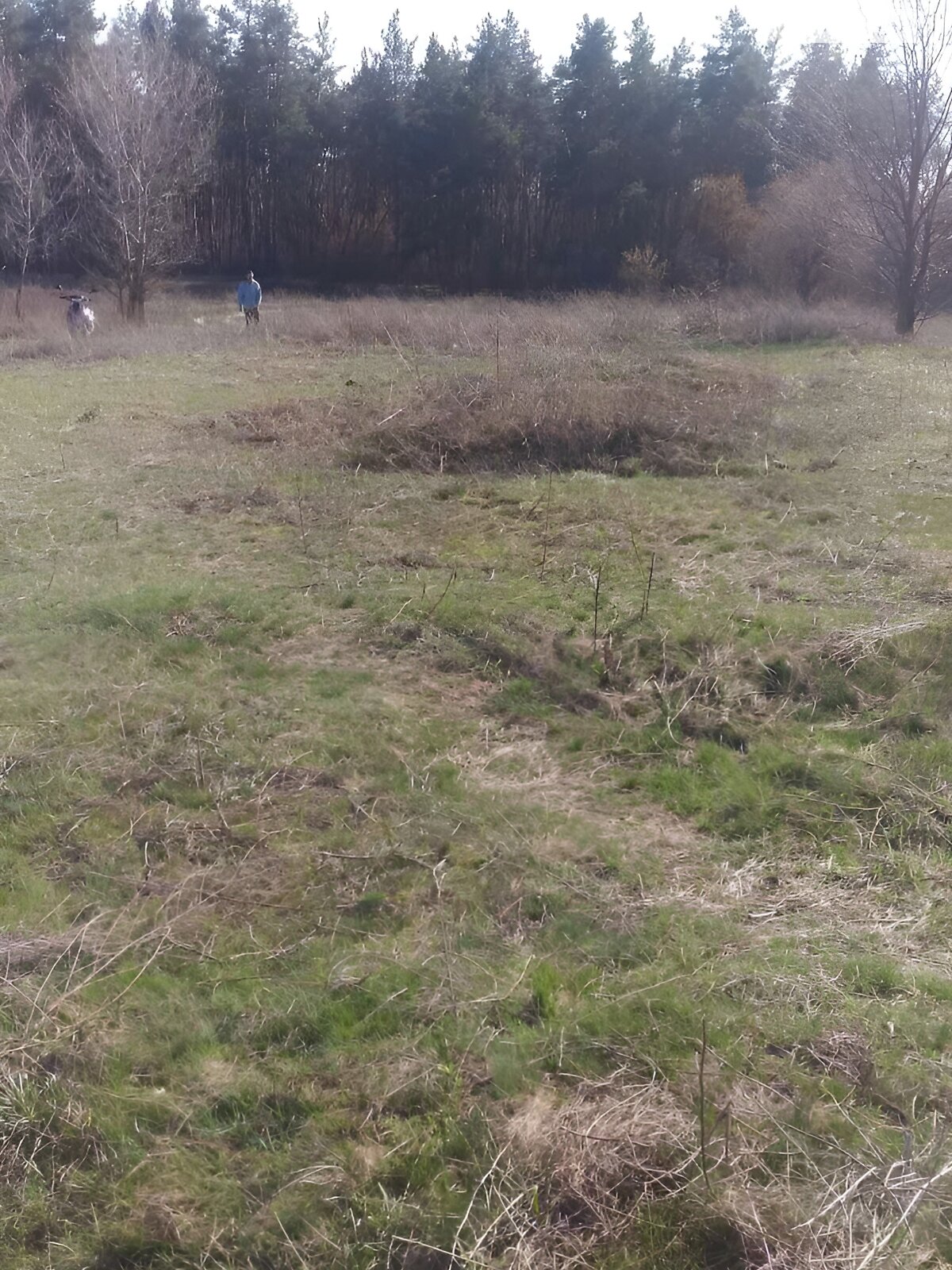 Земля під житлову забудову в Царичанці, район Царичанка, площа 12.47 сотки фото 1 Земля під житлову забудову в Царичанці, район Царичанка, площа 12.47 сотки фото 1