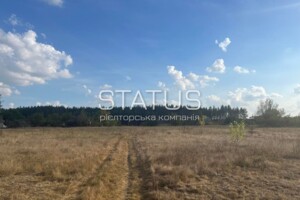 Земельна ділянка під житлову забудову в Цибулі, площа 25 соток фото 2