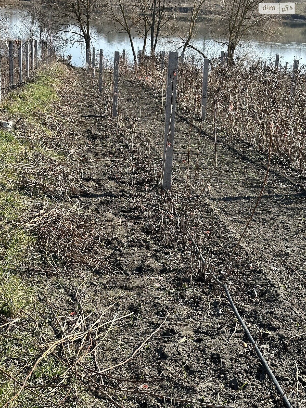 Земельный участок под жилую застройку в Цвижине, площадь 25 соток фото 1