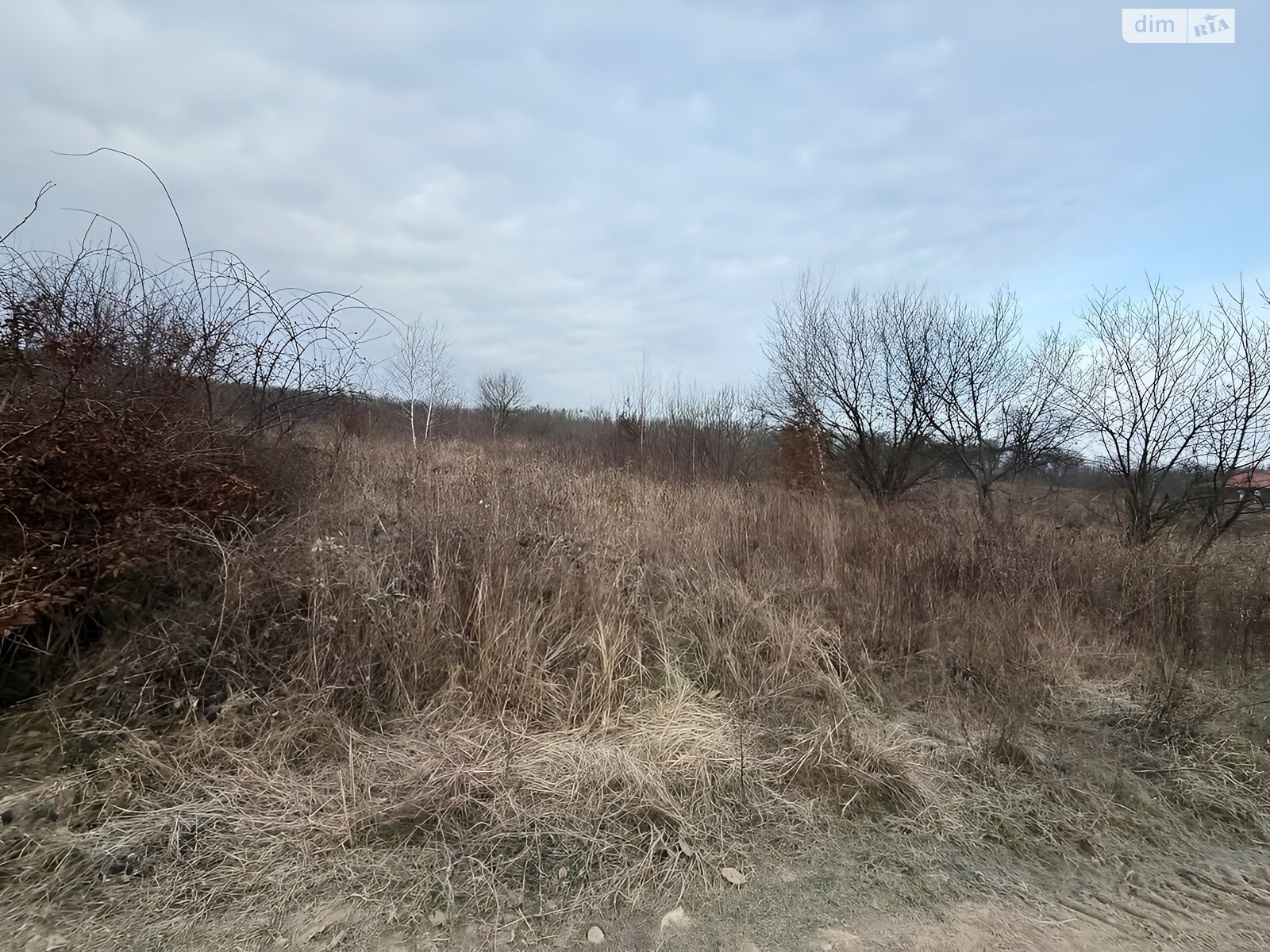 Земельна ділянка під житлову забудову в Циганівцях, площа 12 соток фото 1 Земельна ділянка під житлову забудову в Циганівцях, площа 12 соток фото 1