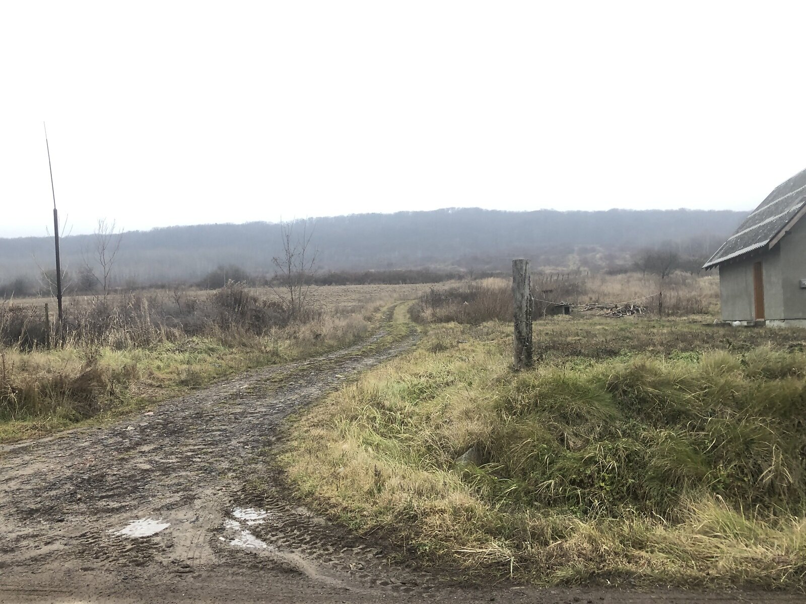 Земельна ділянка під житлову забудову в Циганівцях, площа 12 соток фото 1