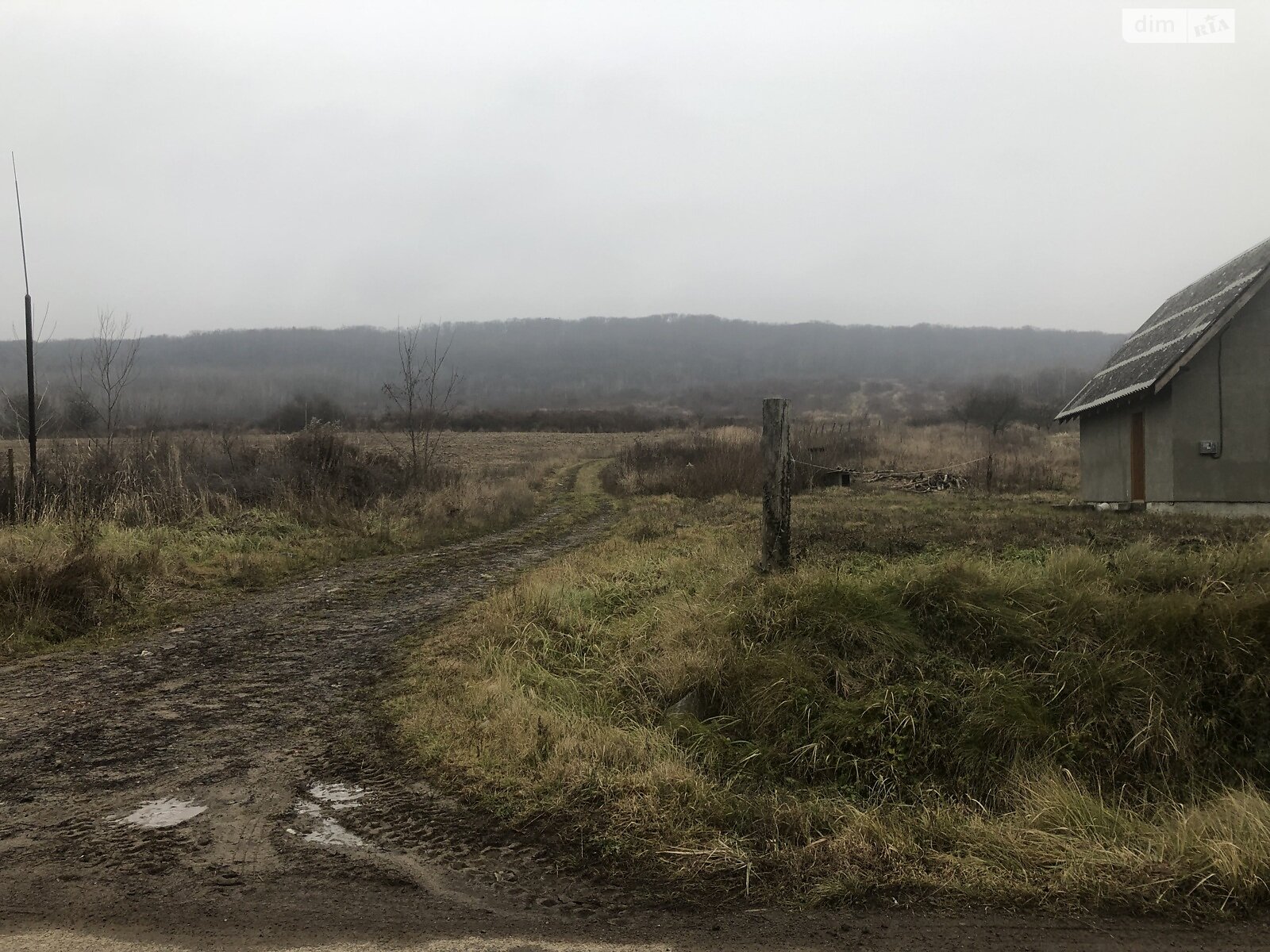 Земельна ділянка під житлову забудову в Циганівцях, площа 12 соток фото 1