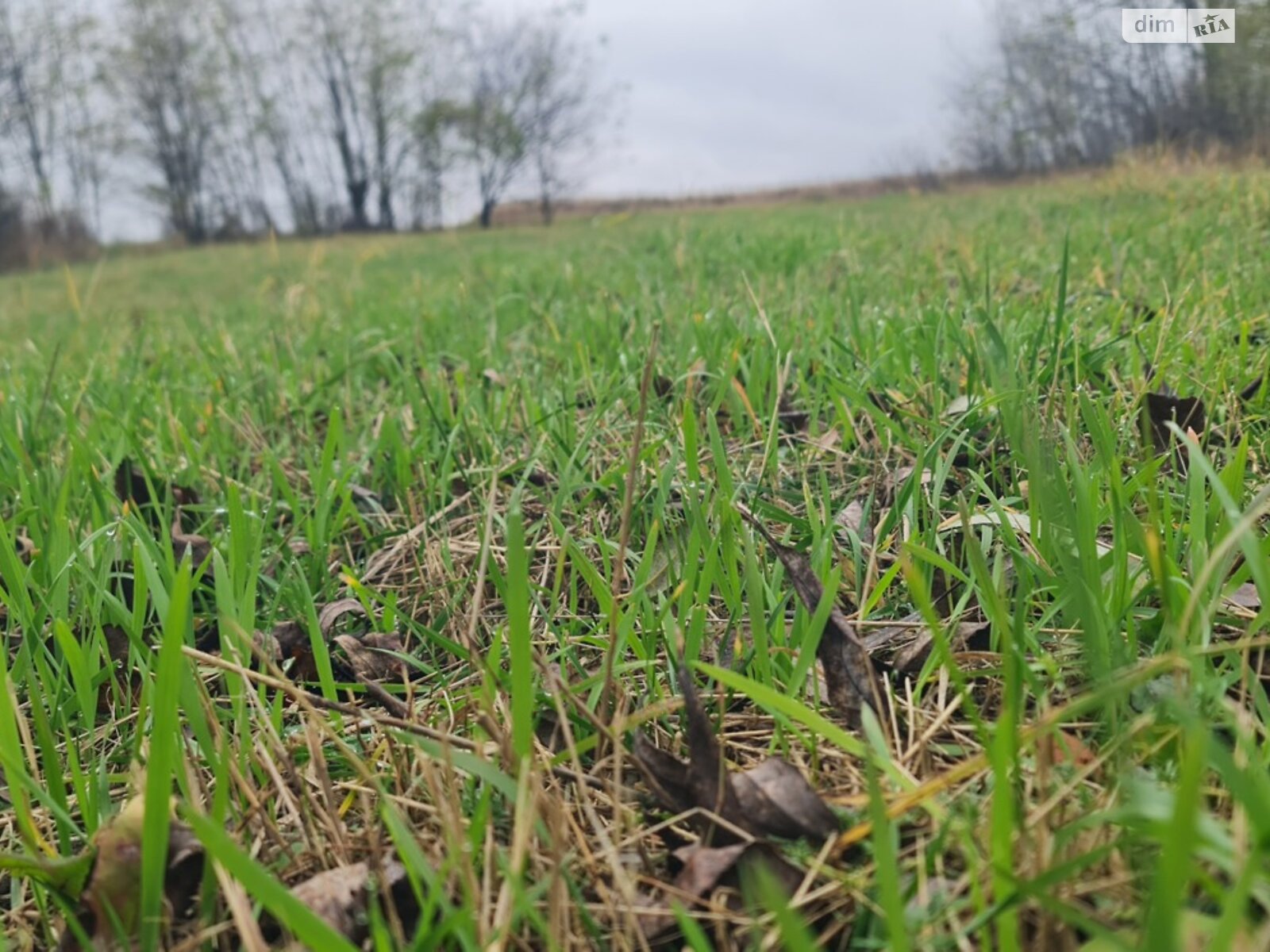 Земельный участок под жилую застройку в Турбовом, площадь 12 соток фото 1