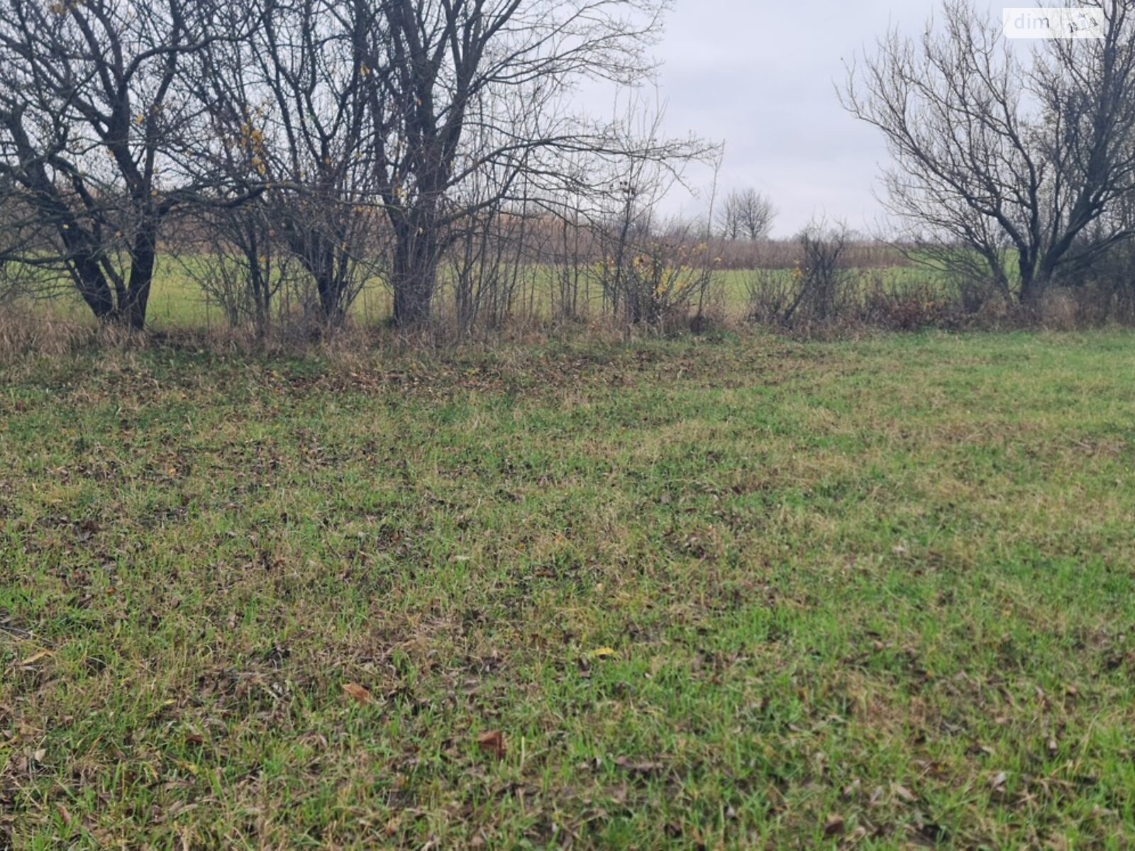 Земельный участок под жилую застройку в Турбовом, площадь 12 соток фото 1