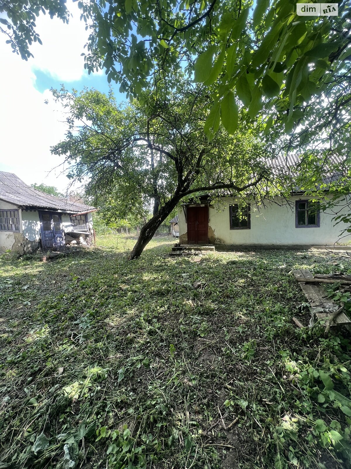 Земельна ділянка під житлову забудову в Тютьках, площа 25 соток фото 1
