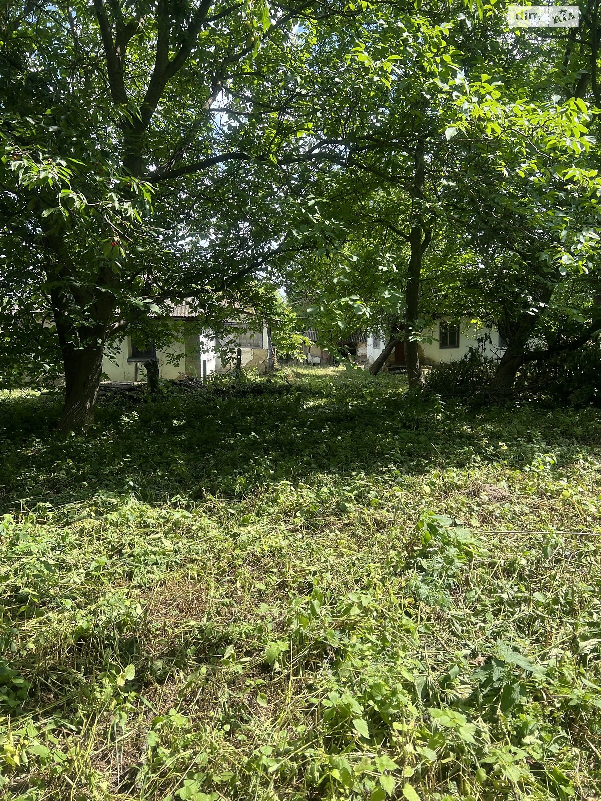 Земельна ділянка під житлову забудову в Тютьках, площа 25 соток фото 1