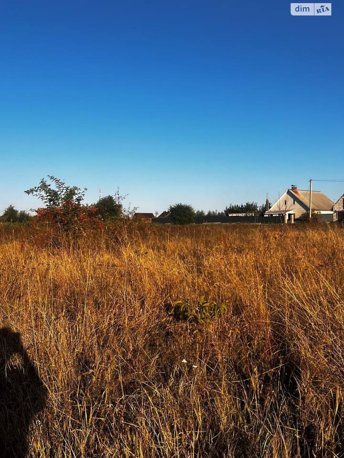 Земельна ділянка під житлову забудову в Тютьках, площа 20 соток фото 1