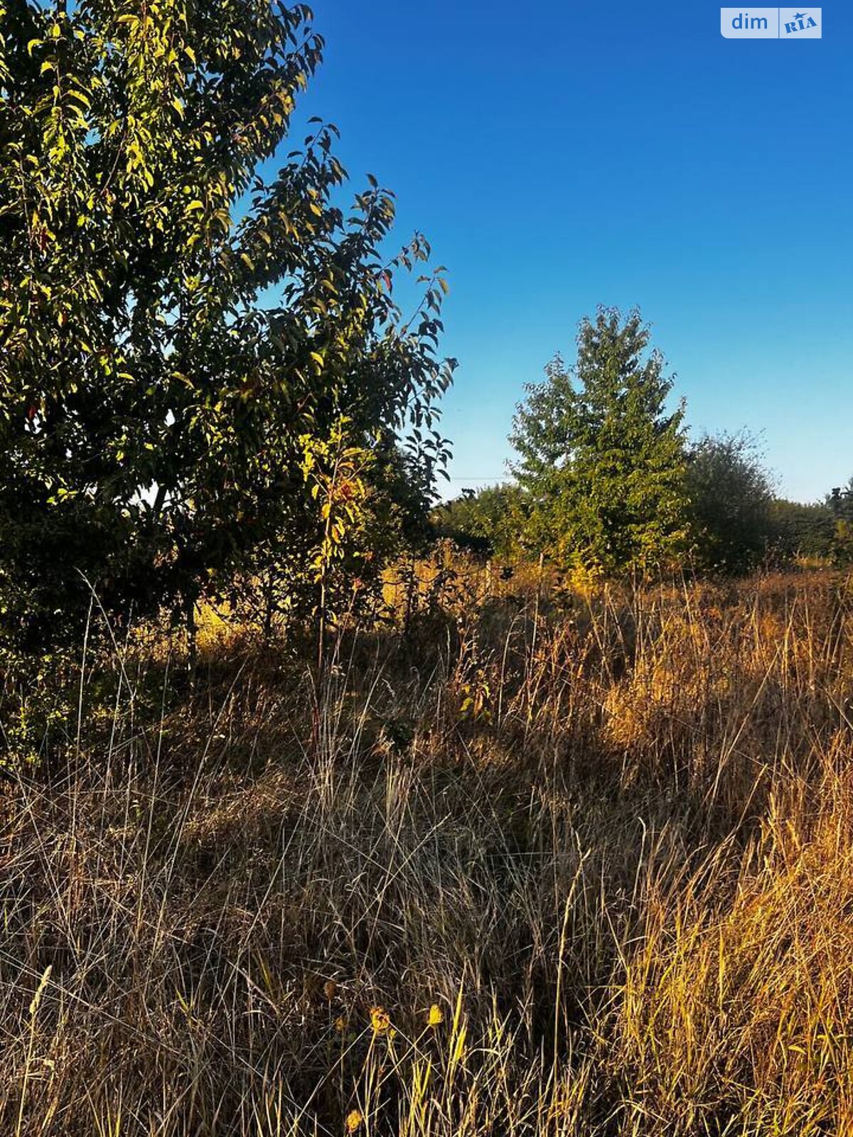 Земельна ділянка під житлову забудову в Тютьках, площа 20 соток фото 1