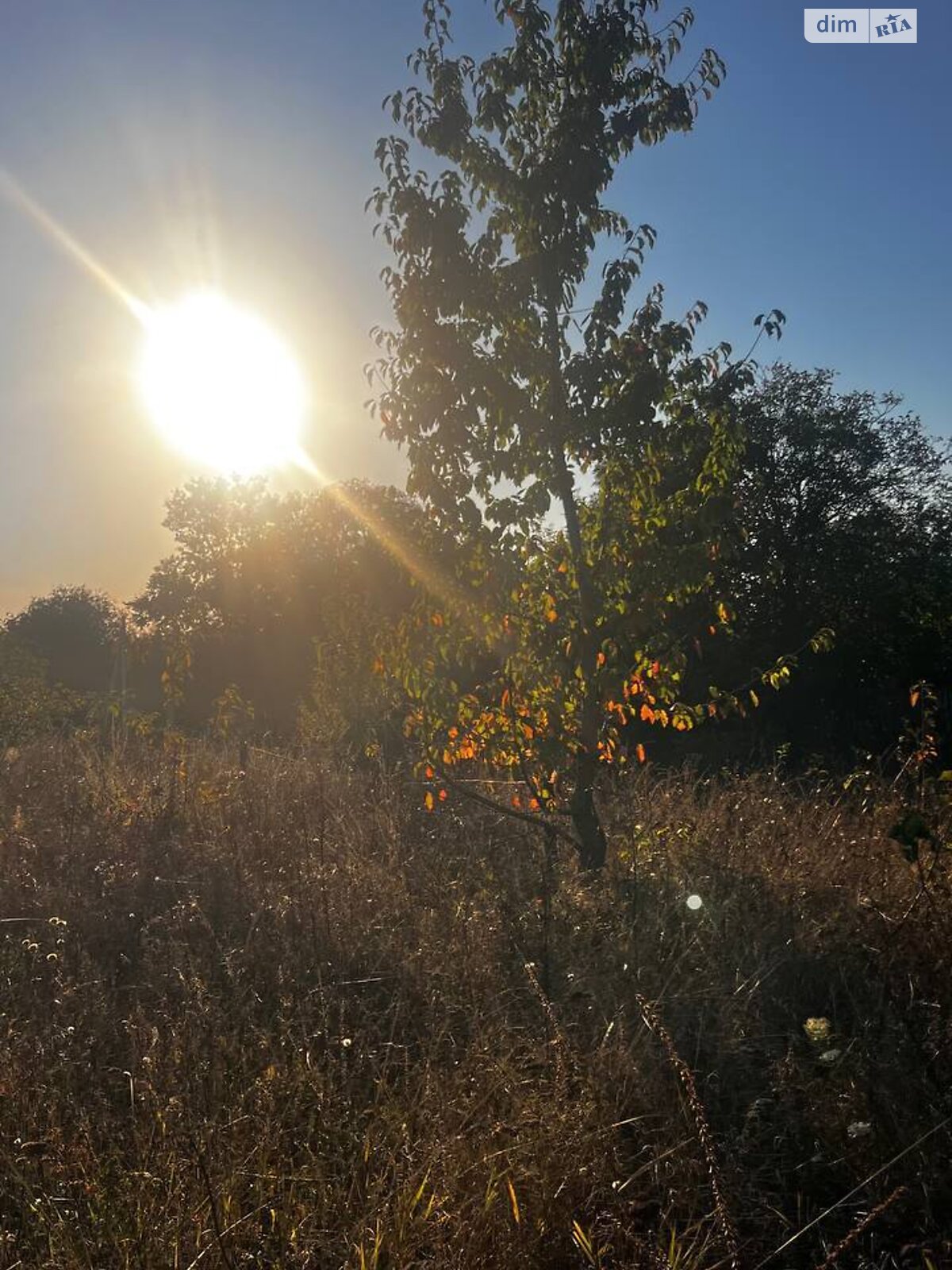 Земельна ділянка під житлову забудову в Тютьках, площа 20 соток фото 1