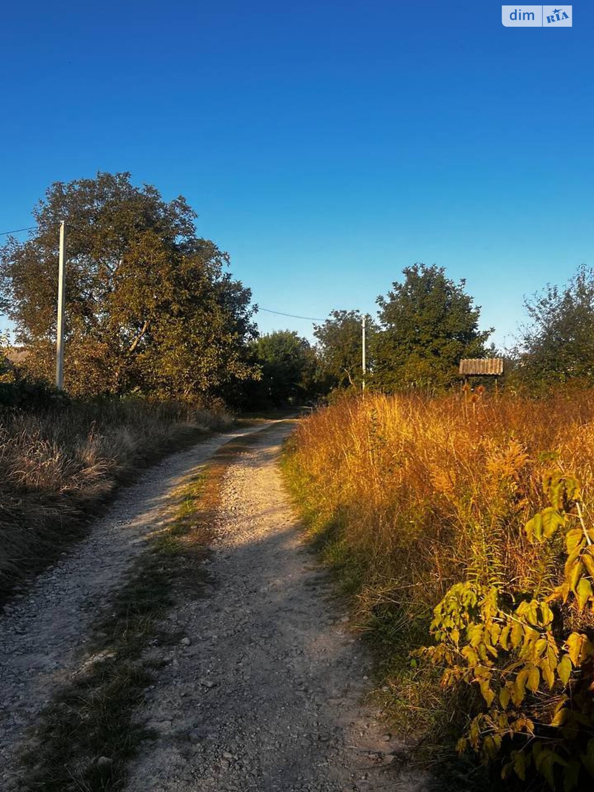 Земельна ділянка під житлову забудову в Тютьках, площа 20 соток фото 1
