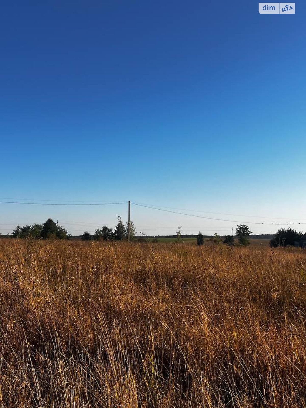 Земельна ділянка під житлову забудову в Тютьках, площа 20 соток фото 1