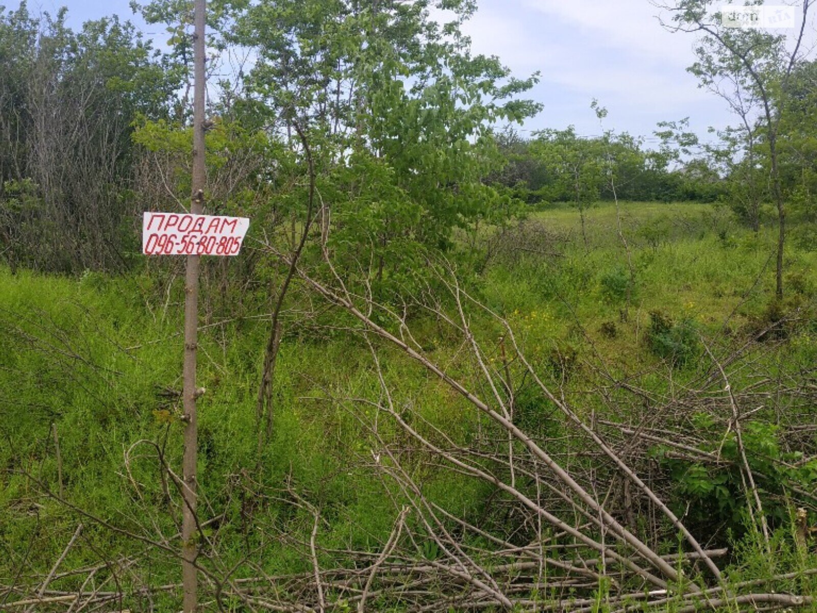 Земельна ділянка під житлову забудову в Ворошилівці, площа 25 соток фото 1