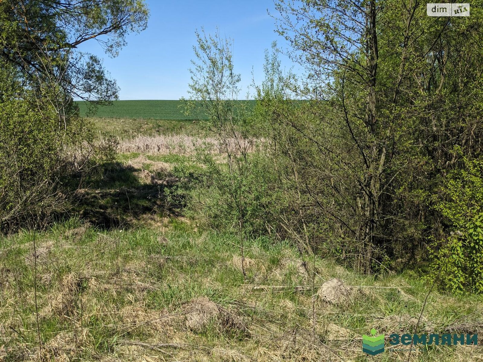 Земельна ділянка під житлову забудову в Угринові, площа 10 соток фото 1 Земельна ділянка під житлову забудову в Угринові, площа 10 соток фото 1