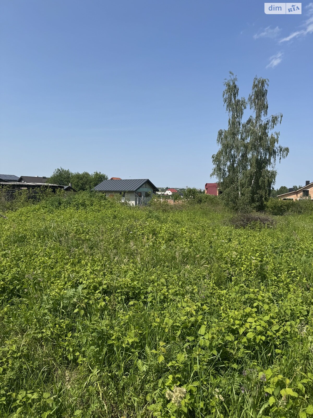 Земельна ділянка під житлову забудову в Угринові, площа 9.56 сотки фото 1 Земельна ділянка під житлову забудову в Угринові, площа 9.56 сотки фото 1