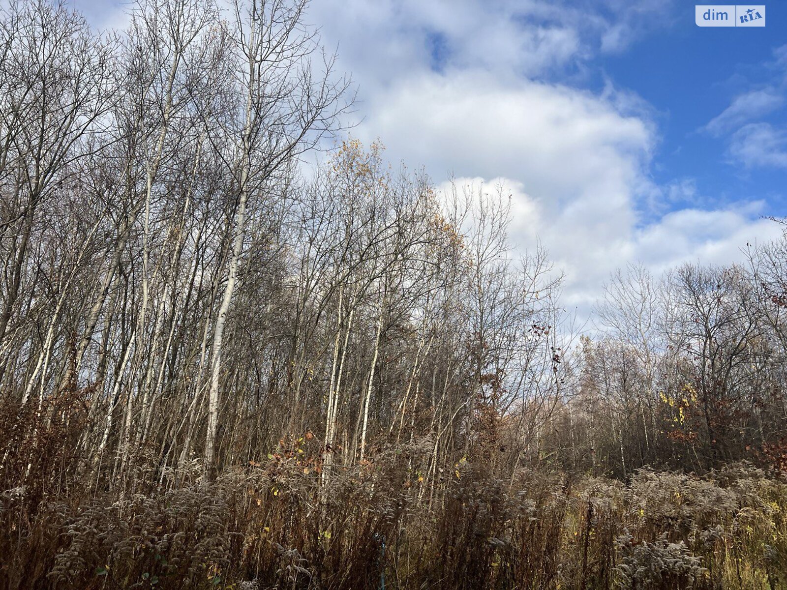 Земельна ділянка під житлову забудову в Угринові, площа 9.92 сотки фото 1