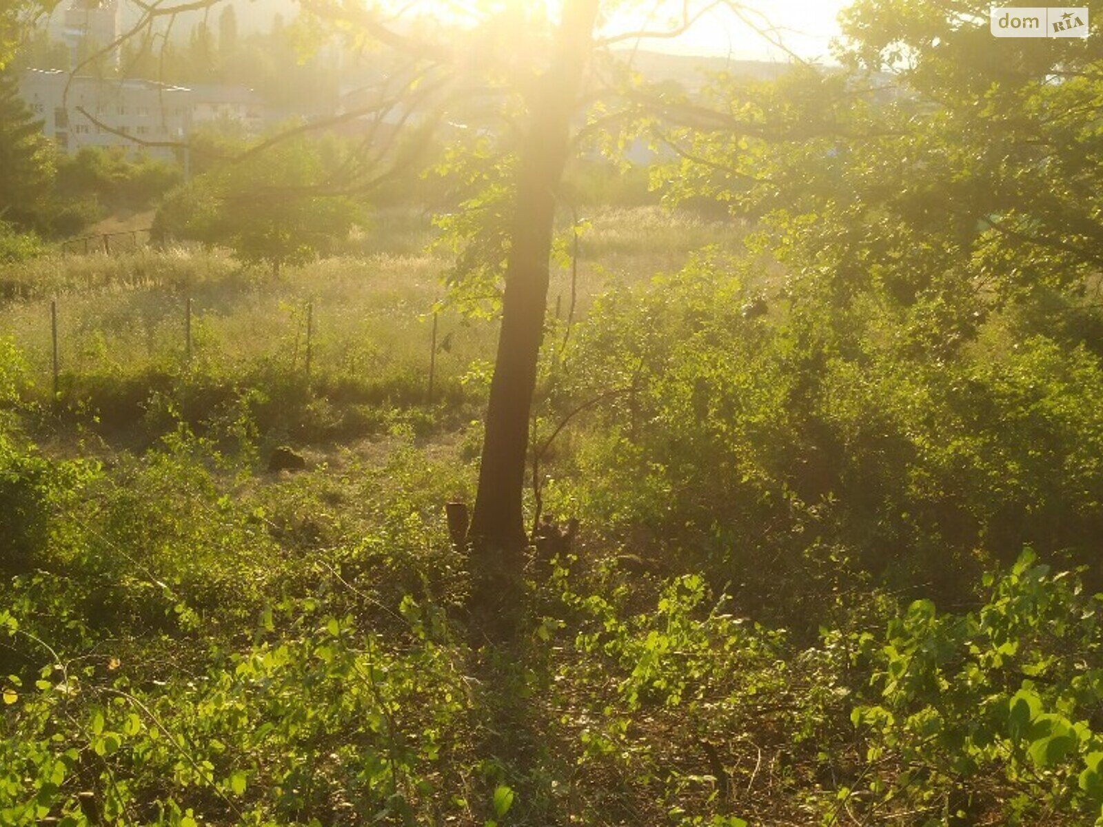 Земля під житлову забудову в Ужгороді, район БАМ, площа 9.44 сотки фото 1