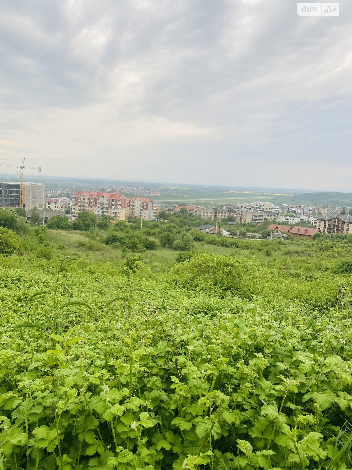 Земля под жилую застройку в Ужгороде, район БАМ, площадь 20 соток фото 1