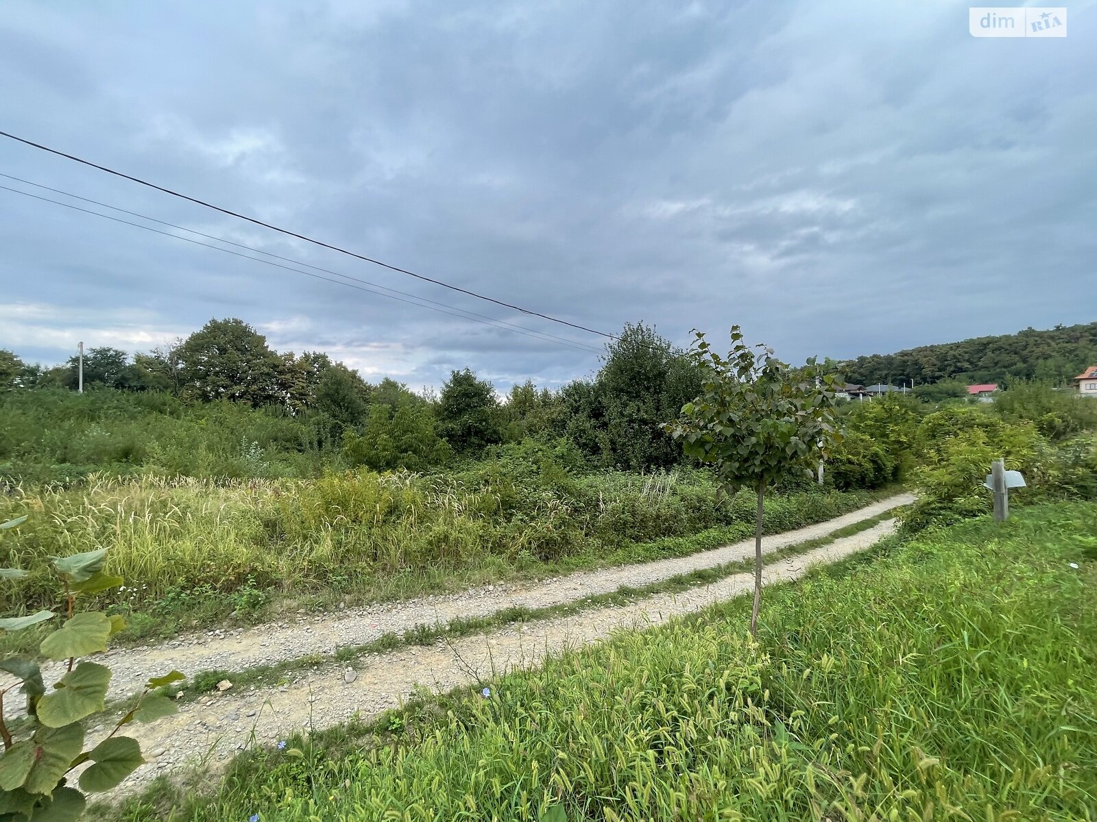 Земля под жилую застройку в Ужгороде, район Червеница, площадь 6.23 сотки фото 1 Земля под жилую застройку в Ужгороде, район Червеница, площадь 6.23 сотки фото 1