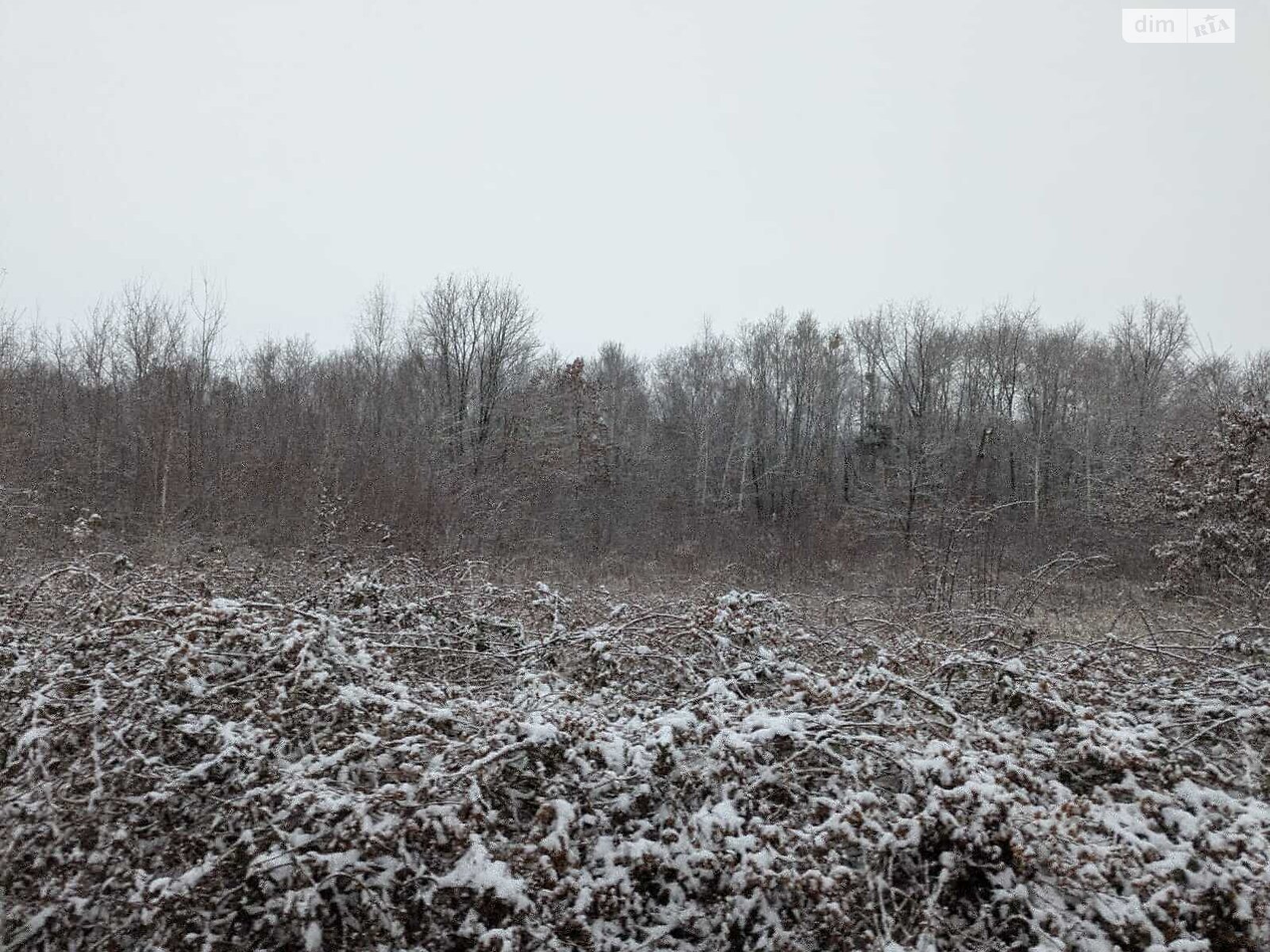 Земля под жилую застройку в Ужгороде, район Червеница, площадь 9.8 сотки фото 1