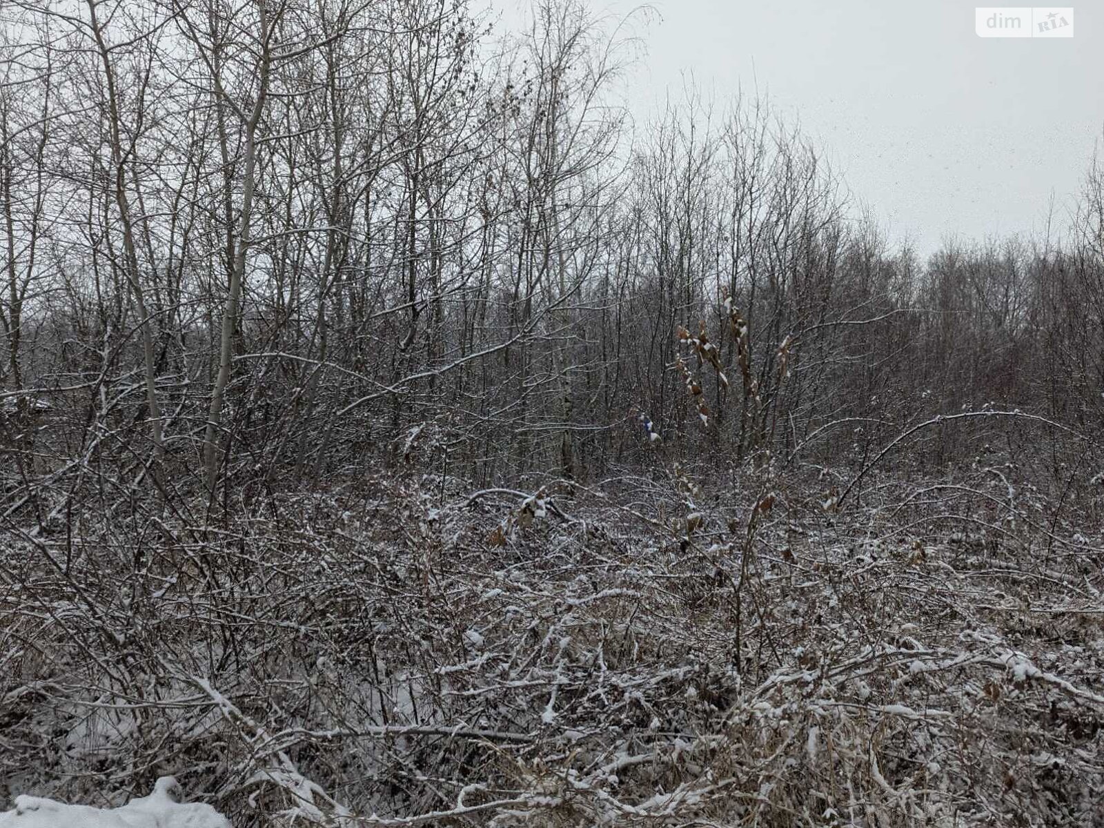 Земля под жилую застройку в Ужгороде, район Червеница, площадь 9.8 сотки фото 1