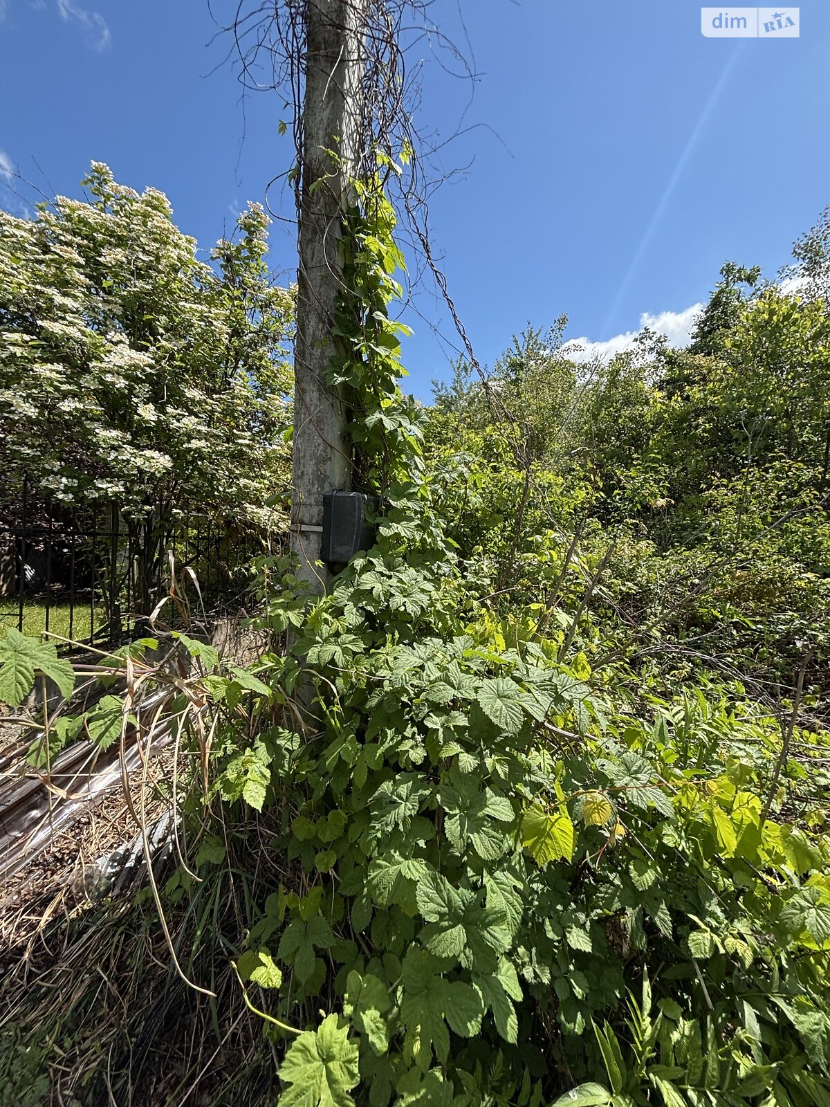 Земля под жилую застройку в Ужгороде, район Червеница, площадь 4.71 сотки фото 1