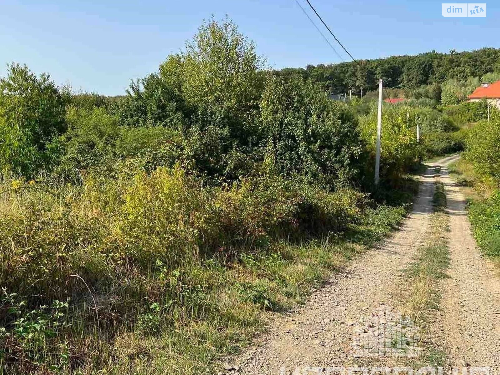 Земля под жилую застройку в Ужгороде, район Червеница, площадь 15.23 сотки фото 1 Земля под жилую застройку в Ужгороде, район Червеница, площадь 15.23 сотки фото 1