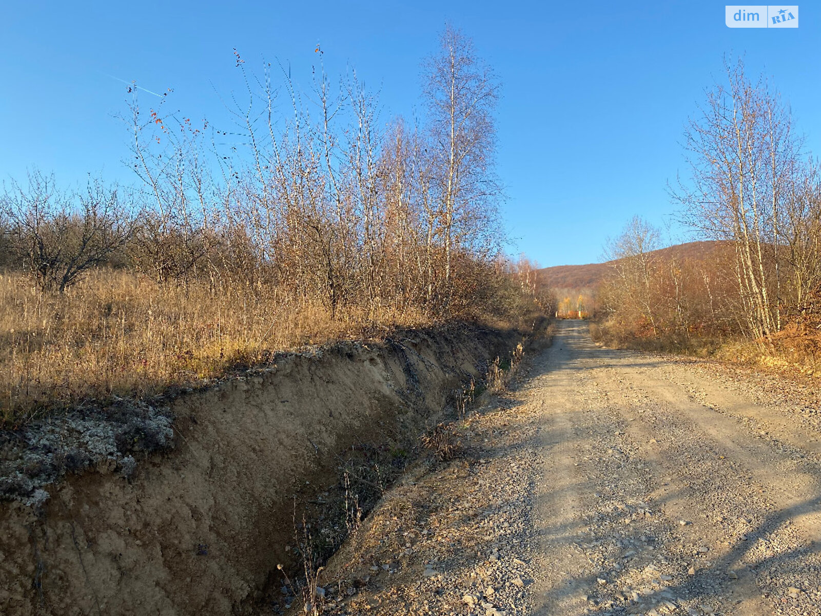 Земельный участок под жилую застройку в Каменице, площадь 22 сотки фото 1