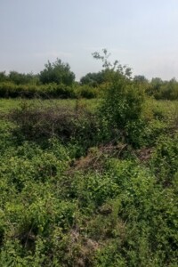 Земля під житлову забудову в Ужгороді, район Компотний, площа 6.86 сотки фото 2