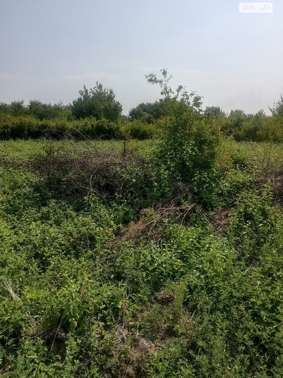 Земля під житлову забудову в Ужгороді, район Компотний, площа 6.86 сотки фото 1