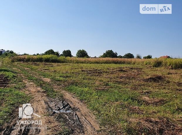 Земля под жилую застройку в Ужгороде, район Новый, площадь 6 соток фото 1 Земля под жилую застройку в Ужгороде, район Новый, площадь 6 соток фото 1
