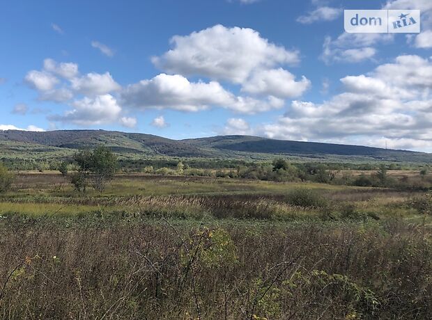 Земля под жилую застройку в селе Ореховица, площадь 25 соток фото 1 Земля под жилую застройку в селе Ореховица, площадь 25 соток фото 1