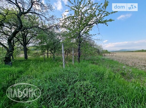 Земля под жилую застройку в селе Русские Комаровцы, площадь 45 соток фото 1 Земля под жилую застройку в селе Русские Комаровцы, площадь 45 соток фото 1