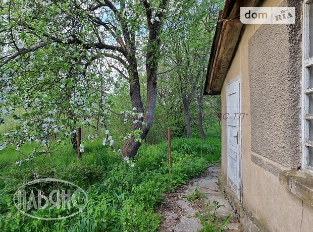 Земля под жилую застройку в селе Русские Комаровцы, площадь 45 соток фото 1 Земля под жилую застройку в селе Русские Комаровцы, площадь 45 соток фото 1