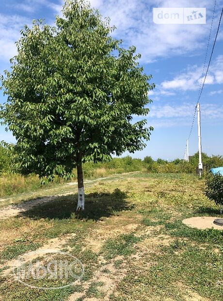 Земля под жилую застройку в Ужгороде, район Садовый, площадь 6 соток фото 1 Земля под жилую застройку в Ужгороде, район Садовый, площадь 6 соток фото 1