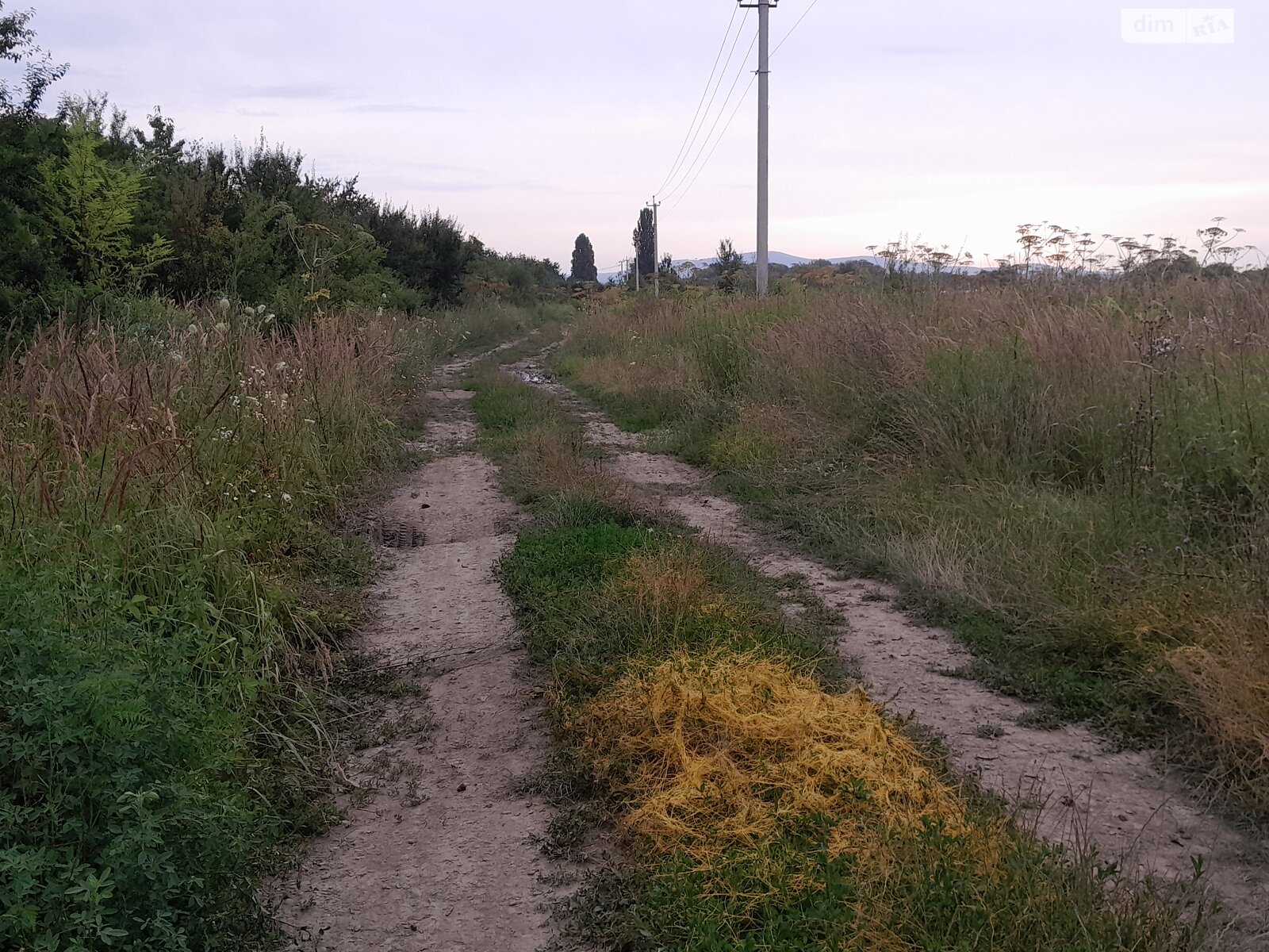 Земля під житлову забудову в Ужгороді, площа 6 соток фото 1 Земля під житлову забудову в Ужгороді, площа 6 соток фото 1