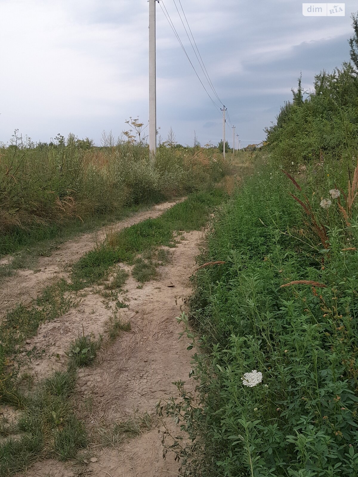 Земля під житлову забудову в Ужгороді, площа 6 соток фото 1 Земля під житлову забудову в Ужгороді, площа 6 соток фото 1